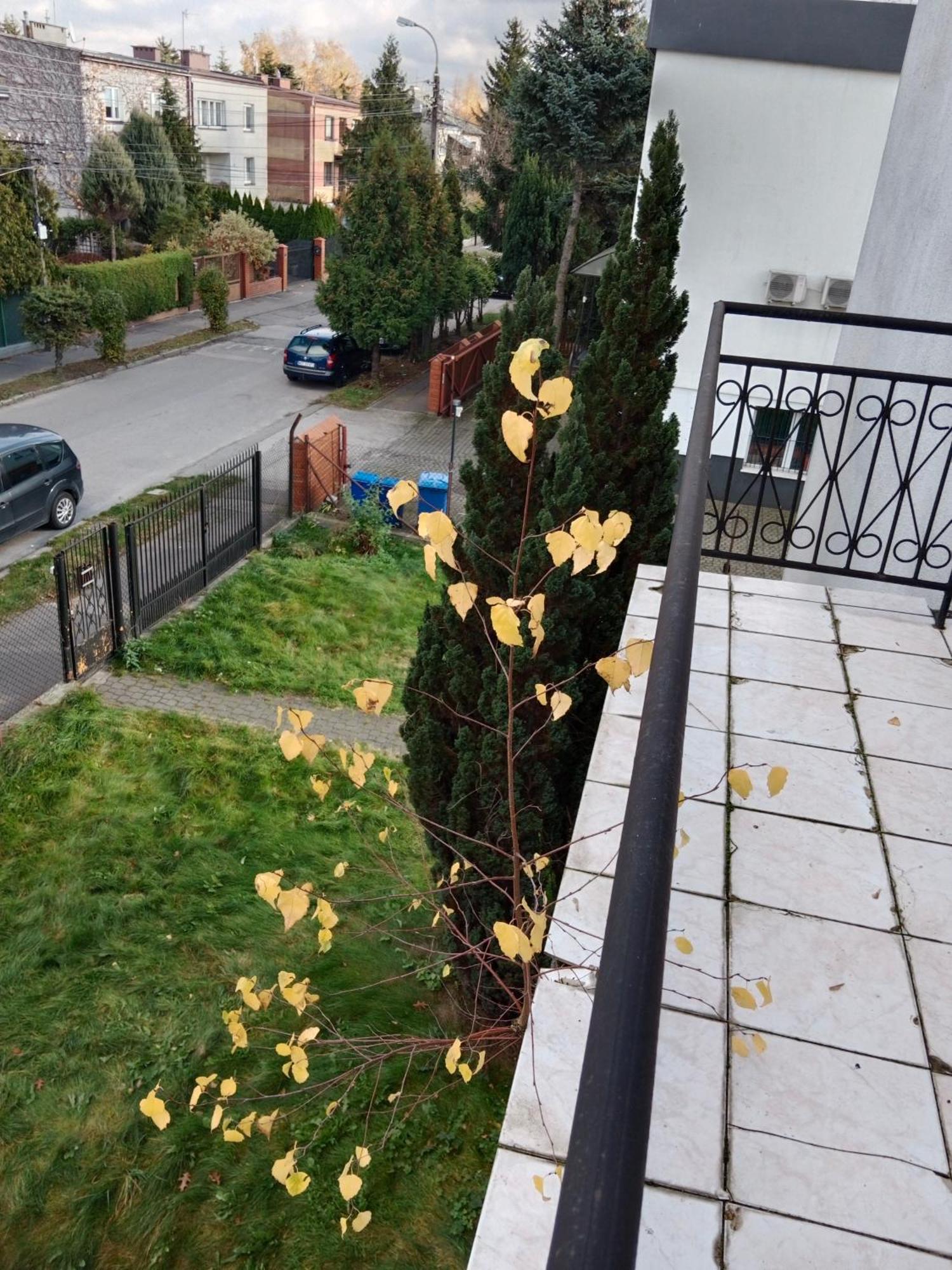 Bed and Breakfast La Madriguera Raszyn Exterior foto